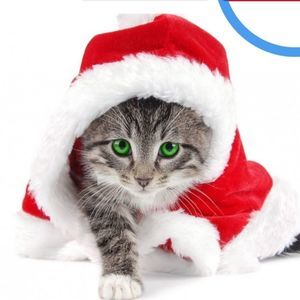 Meet your Posher, Isabelle